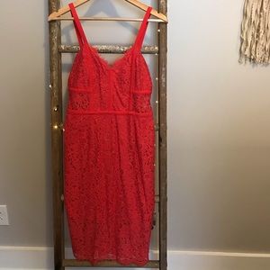 Express Lace Midi Dress